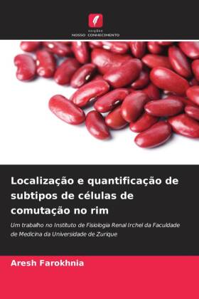 Localização e quantificação de subtipos de células de comutação no rim 