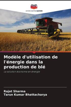 Modèle d'utilisation de l'énergie dans la producti...