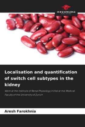Localisation and quantification of switch cell subtypes in the...