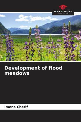 Development of flood meadows