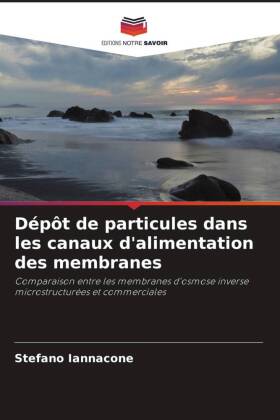 Dépôt de particules dans les canaux d'alimentation des ...
