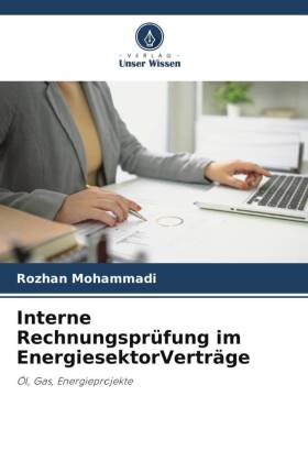 Interne Rechnungsprüfung im EnergiesektorVerträge