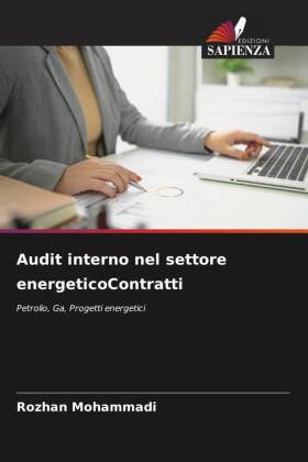 Audit interno nel settore energeticoContratti