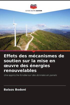 Effets des mécanismes de soutien sur la mise en oeuvre des é...