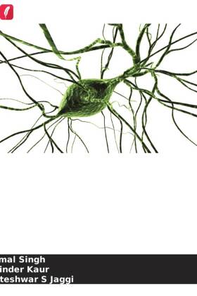 Canais K no mecanismo cerebroprotetor do pós-condicionamento ...