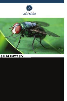 Katalog der Überfamilie Asiloidea