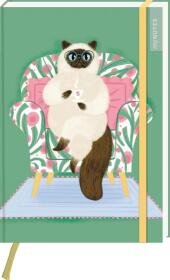 myNOTES Papeterie: Notizbuch A5 Katzen regieren die Welt