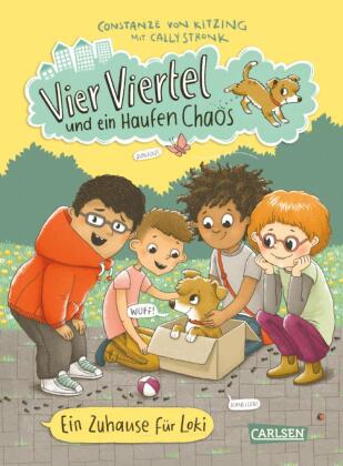 Vier Viertel und ein Haufen Chaos 1: Ein Zuhause für Loki