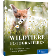 Wildtiere fotografieren